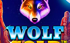 Игровой автомат Wolf Gold